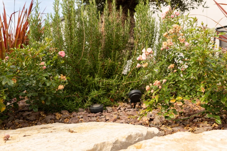 Bepflanztes Gartenbeet mit Rosen und einem kleinen Strahler hinter der Natursteinmauer