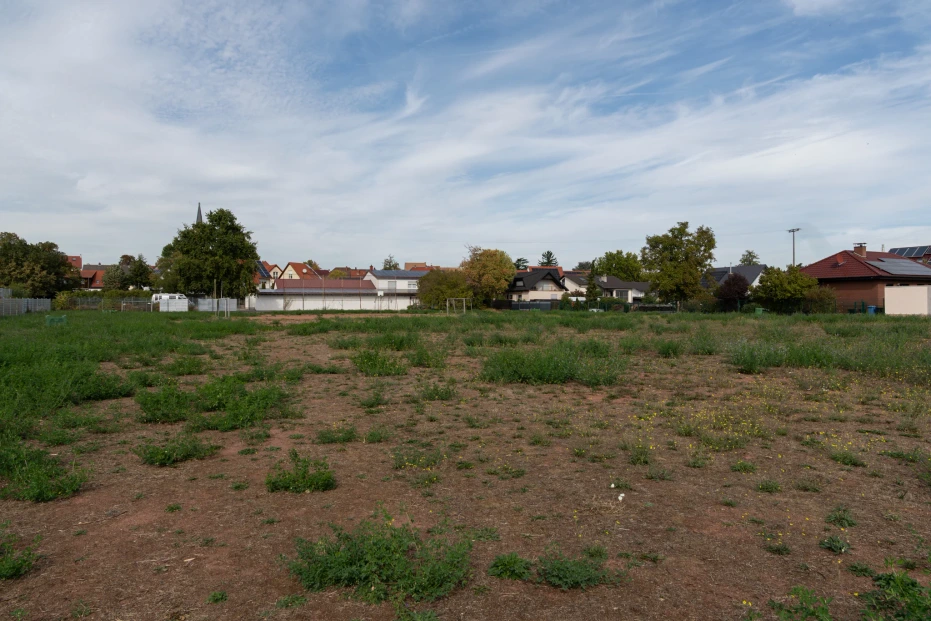 Das derzeit unbebaute Gelände des geplanten Wohnquartiers Erpolzheim